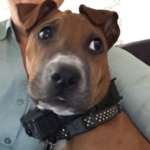 Meet your Posher, Dana